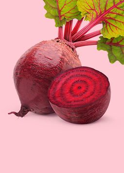 Red Beet Root Colour